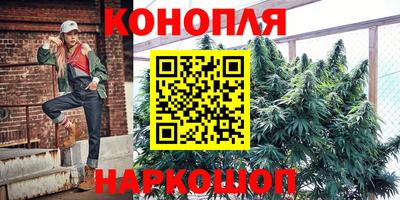 не бодяженный Кингисепп