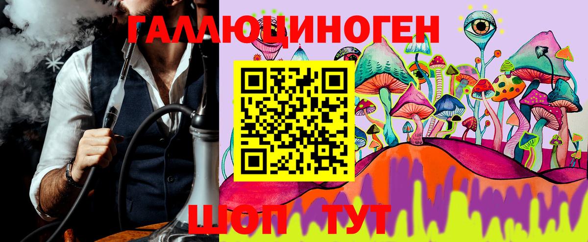 Галлюциногенные грибы Psilocybine cubensis Кыштым