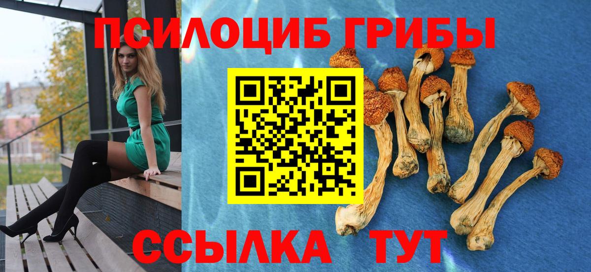 Псилоцибиновые грибы MAGIC MUSHROOMS  Галлюциногенные грибы Magic Shrooms  Кыштым  Вход с VPN 